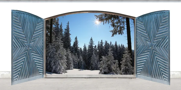 Резные открытые двойные двери с зимним видом на лес — стоковое фото