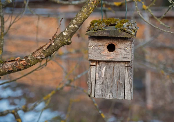 Old wooden birds home hanging on a branch outdoors — Stock Photo, Image