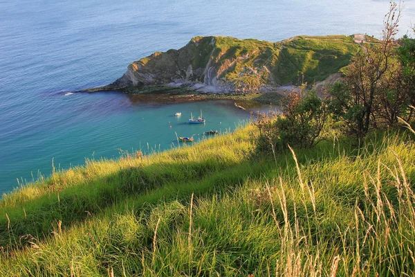 Beautiful lulworth cove with turquoise water — Stock Photo, Image