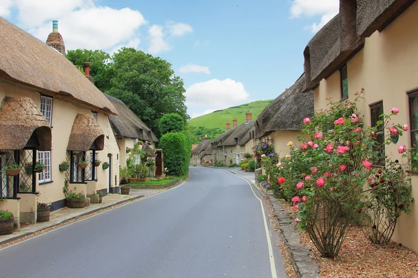 Thatched evlerin ve çiçek dekor güzel lulworth Köyü — Stok fotoğraf