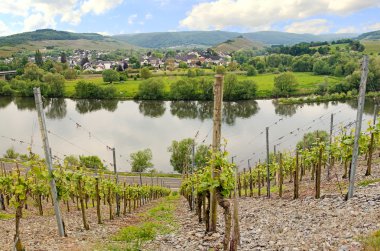 muelheim village on the wine route, moselle river clipart