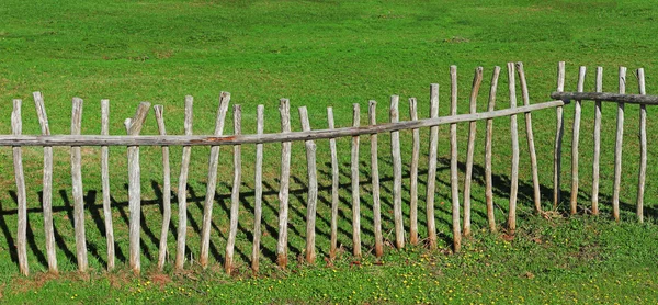 Paling fence made of wooden sticks — Stock Photo, Image