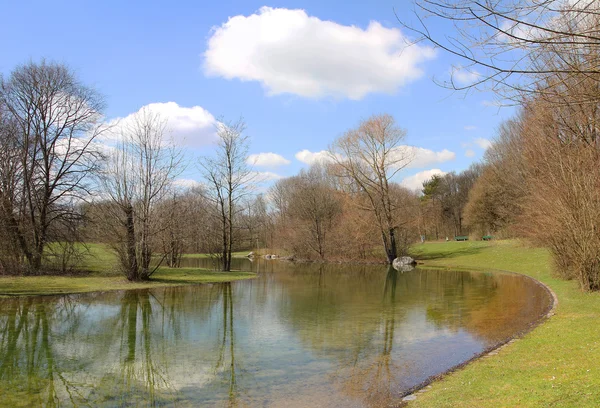 Cenário tranquilo parque com árvores refletoras na lagoa — Fotografia de Stock