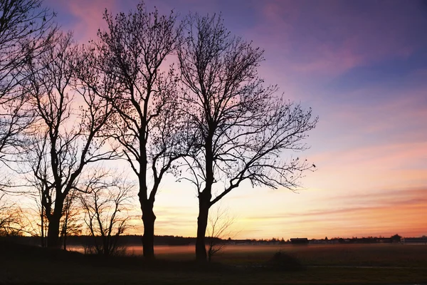 Serata idilliaca all'aperto con tramonto — Foto Stock