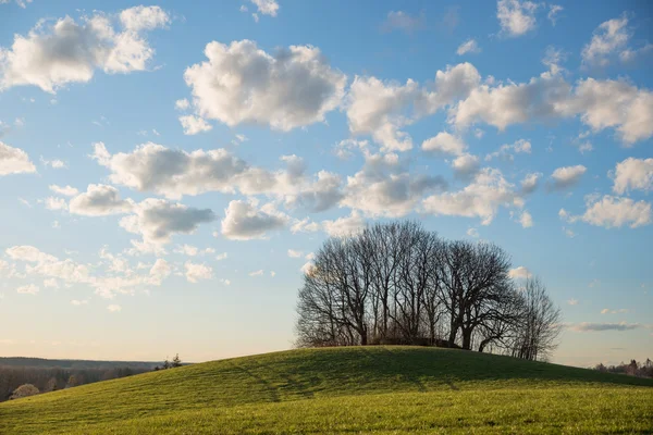 Colina iluminada en el sol de la tarde, cielo azul con nubes cúmulos —  Fotos de Stock