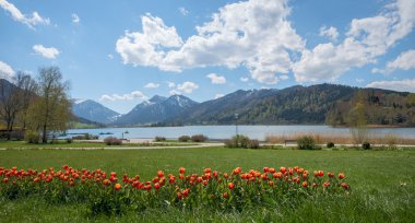 Spa gardens schliersee Lale flowerbed ile