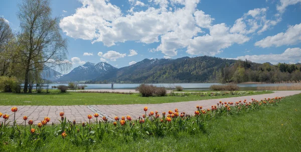 Nad brzegiem jeziora, schliersee ogrodów spa i widokiem na Alpy — Zdjęcie stockowe