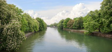 Riverside çiçeklenme kestane ağaçları ile Isar Nehri Münih