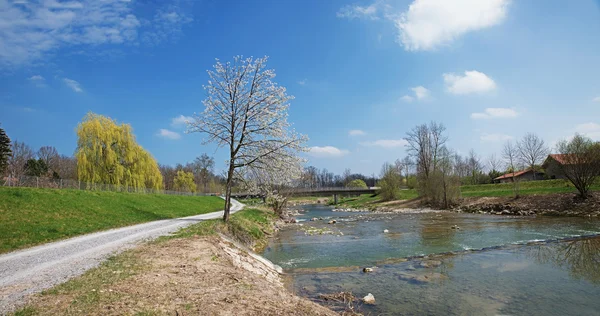 Wandelen langs de oever van de rivier de mangfall op de lente — Stockfoto