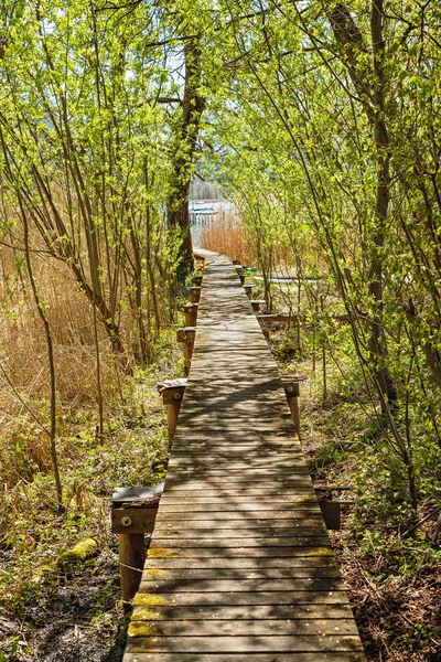 Boardwalk in the wet lake shore — Stock Photo, Image