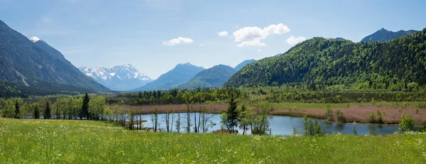 Gyönyörű vadonban loisach valley — Stock Fotó