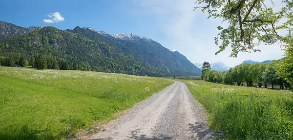 Idylické chodník v dolní části údolí mezi zelené louky a m — Stock fotografie