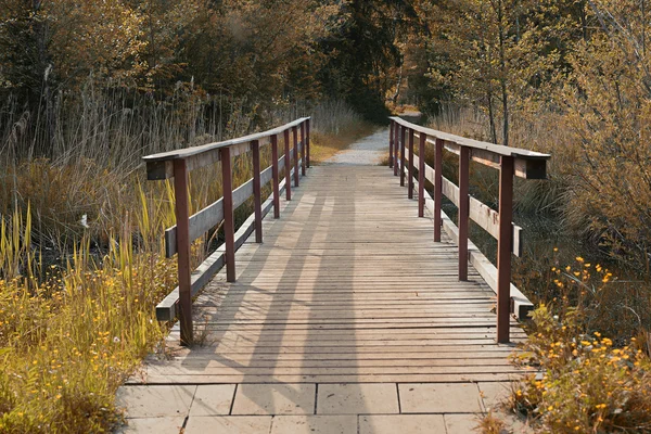湿地 - セピア色の木製の橋 — ストック写真