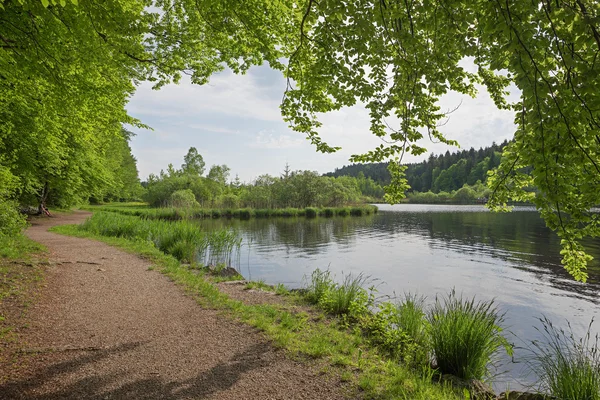 Itinerario idilliaco per passeggiare nella riserva naturale deininger weiher — Foto Stock