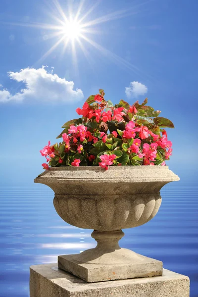 Mediterranean flowerpot on a stone post, against water and sky — Stock Photo, Image