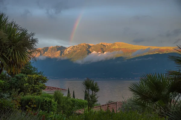Rainbow over monte baldo mass, view through palm trees — Stock Photo, Image