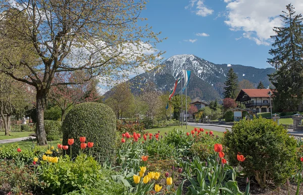 Rottach-egern na jaře s Tulipán záhonu — Stock fotografie