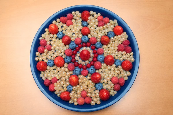 Plate with various berries — Stock Photo, Image