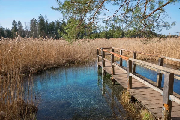 与视图到蓝来源在沼泽里的木板桥 — 图库照片