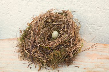 evin yanında bir yuva kuş yumurta