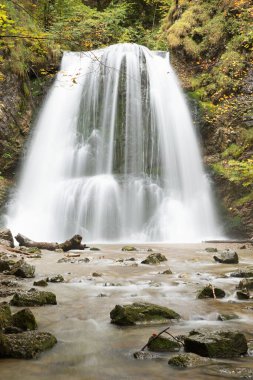 Güzel şelale Josefstal, altın sonbahar ormanı. Üst Bavyera yürüyüş rotası.