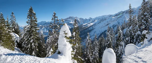 Vinterlandskap Med Snötäckta Granar Och Bergskedja Övre Bayern Kreuzeck — Stockfoto