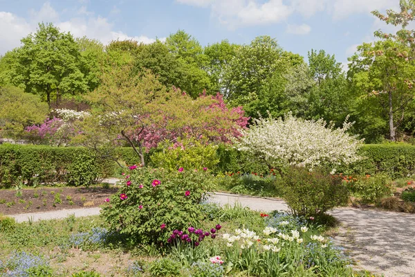 Piękny Wiosenny Krajobraz Parku Chodnikami Kwitnącymi Drzewami Westpark Monachium — Zdjęcie stockowe