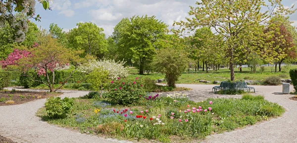 Красивый Весенний Парк Дорожками Цветущими Деревьями Клумбами Скамейками Westpark Мюнхен — стоковое фото
