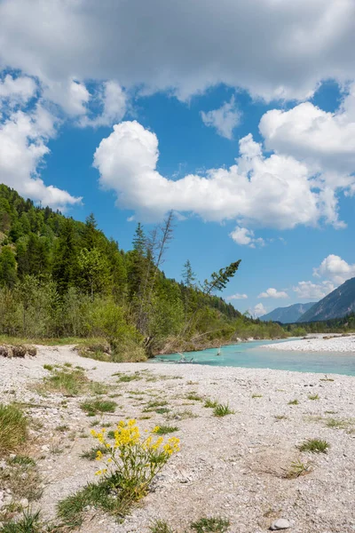 Jachenau Wallgau Arasındaki Isar Nehri Yatağı Bavyera Vahşi Doğası Nehir — Stok fotoğraf