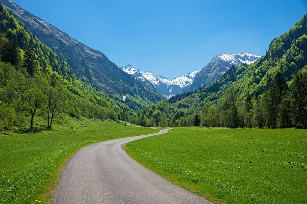 Splendido Paesaggio Primaverile Passerella Attraverso Valle Trettach Vista Sulle Alpi — Foto Stock