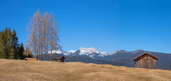 Buckelwiesen Landschap Bovenste Bavaria Met Houten Hutten Lariks Bomen Uitzicht — Stockfoto
