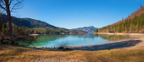 Ηλιόλουστη Λίμνη Ακτή Walchensee Rissbachstollen Jachenau Στις Αρχές Της Άνοιξης — Φωτογραφία Αρχείου