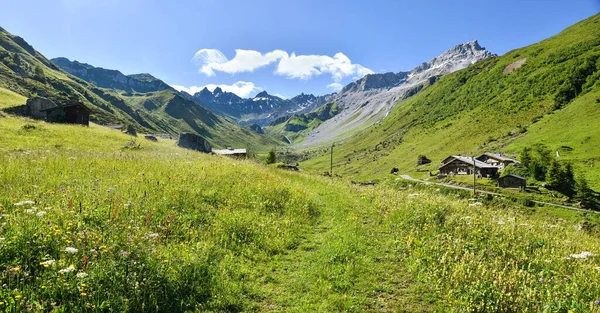 Mooie Wandelweg Door Wilde Bloemenweiden Gafiertal Prattigau Alps Zwitserland Bij — Stockfoto