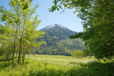 Buzul kırsal yay manzarası Rottach vadisi, Wallberg dağı manzaralı, üst bavyera