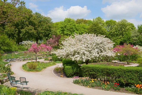 美しい春の公園の風景 Westpark Munich ベンチと開花リンゴの木とカラフルなチューリップとレクリエーションエリア — ストック写真