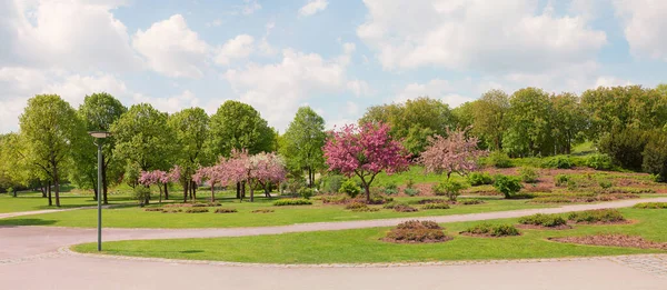 春の美しい都市公園カニのリンゴの木が咲いています ウェストパーク ミュンヘン バイエルン州の風景 — ストック写真