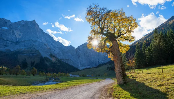 Famosa Paisagem Tirolesa Ahornboden Destino Caminhadas Austríacas Outubro Com Árvore — Fotografia de Stock