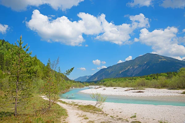 Naturschutzgebiet Obere Isar Schöner Türkisfarbener Fluss Oberbayern Frühling — Stockfoto