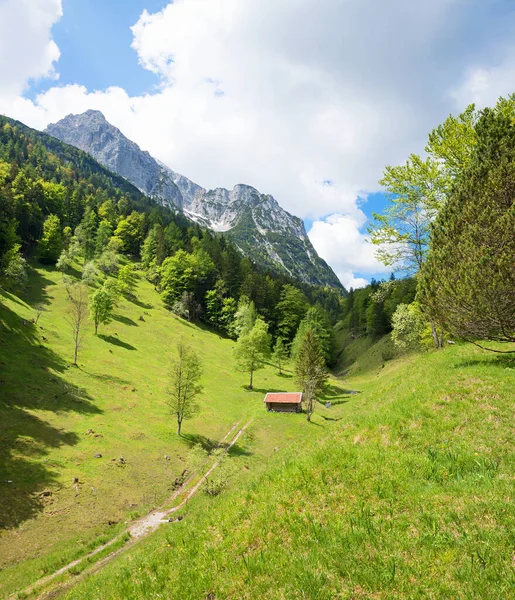 Piękny Alpejski Krajobraz Mittenwald Zielonymi Pastwiskami Sianem Lasem Wiosną Idylla — Zdjęcie stockowe