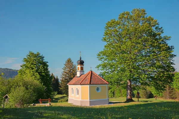 Idylliczne Miejsce Bawarska Kaplica Pielgrzymkowa Popularny Cel Podróży Buckelwiesen Wiosna — Zdjęcie stockowe