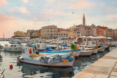 Renkli tekneleri ve Hırvat manzarası olan Rovinj adlı turizm merkezinin güzel limanı.