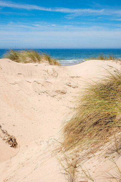 sandy dunes and view to atlantik ocean Portugal landscape