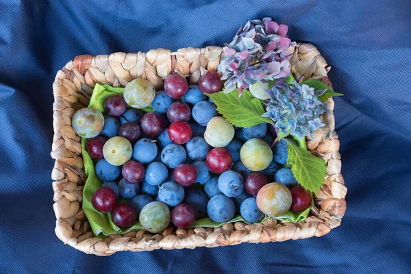 Red Blue Yellow Mirabelles Braided Basket Textile Background Harvest Time — Stock Photo, Image
