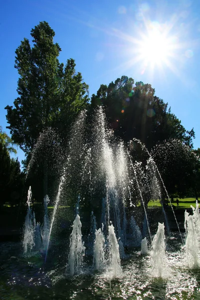 Beatiful Szökőkút Stuttgart Város Park Rosenstein Németország — Stock Fotó