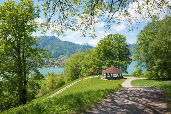 Adorable Turystycznym Nad Jeziorem Tegernsee Altanką Widok Przez Zielone Gałęzie — Zdjęcie stockowe