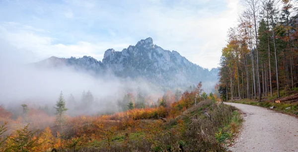 Schöne Wanderroute Von Grunberg Zum Laudachsee Salzkammergut Herbst Nebeltag Oktober — Stockfoto