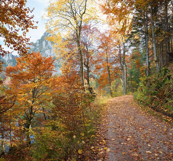 Senderismo Camino Medio Colorido Bosque Otoñal Largo Del Lago Laudachsee — Foto de Stock