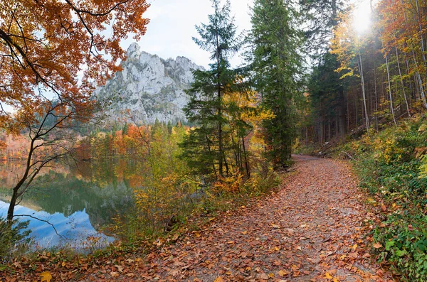 Vandringsled Mitt Färgglada Höstskog Längs Sjön Laudachsee Grunberg Berg Strutsen — Stockfoto