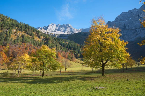 Kleurrijke Herfstlandschap Landschap Bij Eng Toeristische Badplaats Oostenrijk — Stockfoto