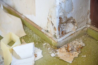 Su hasarı ve yükselen kılcal nemden dolayı duvarda büyük bir delik. Eski bir binanın yenilenmesi